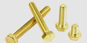 Brass Bolts