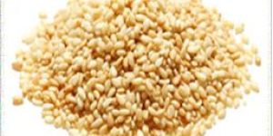 Toasted Sesame Seeds