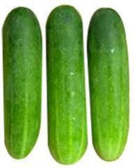 Fresh Cucumber