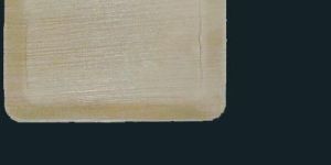 Wedding Celebration Areca Plates