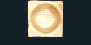 Disposable Dinner Ware