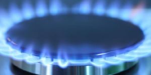 STANDARD GASEOUS FUELS