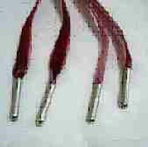 Tipping Shoelace