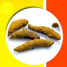 Turmeric Finger