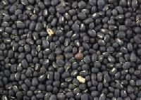 Black Gram Pulses
