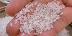 Swarna Non Basmati Rice