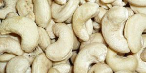 Cashew