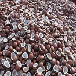 Coconut Copra