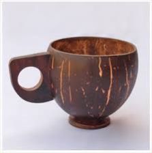 Coconut Shell Cups