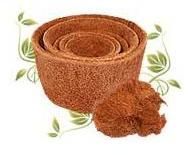 Coir Pots