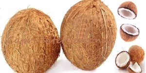 Dehusked Coconut