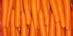 Fresh Carrot