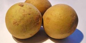 Fresh Sapota