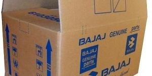 Printed Carton Shipping Box