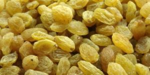 Golden Raisins