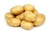 Potato