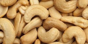 Cashew Nuts
