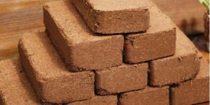 Coco Peat Bricks