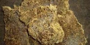 Cotton Seed Oil Cake