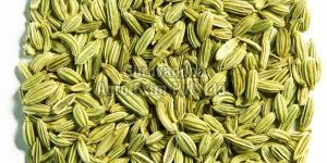Fennel Seeds