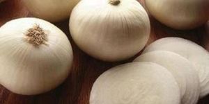 White Onion