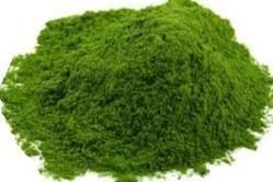 Coriander Powder