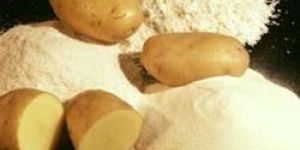 Dehydrated Potato Powder