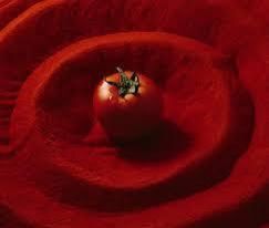 Spray Dried Tomato Powder