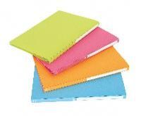 Multicolor PVC File Cover