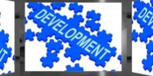 Professional Web Development