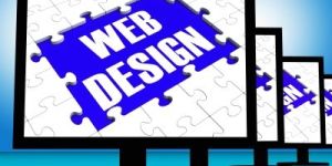 Web Designing Service, Ecommerce Web Site Design, Custom Website Design