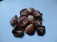 Betelnut