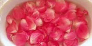 Rose Water
