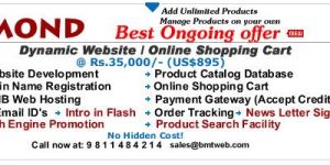 Web Hosting, Web Development