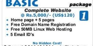 Website Hosting, Website Designing