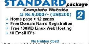 Web Promotion, Web Designing