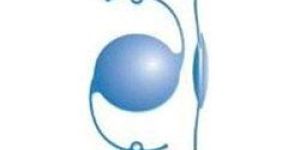 Ophthalmic Phaco Lenses & PMMA - Single Piece Phaco Lens
