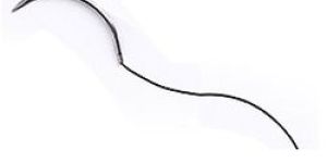 PGA Sutures / Absorbable Sutures