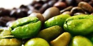 Green Coffee Bean Extract