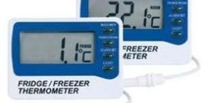 Dual Sensor Thermometer