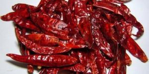 Dried Red Chilli