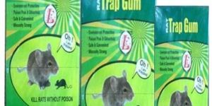 Rat Trap Gum
