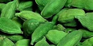Green Cardamom