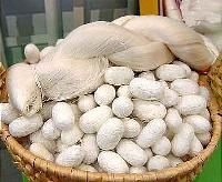 Silk Fiber