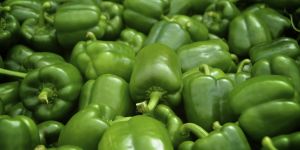 Green Capsicum
