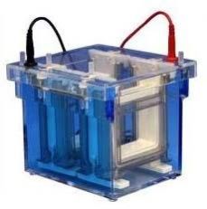 Electrophoresis System