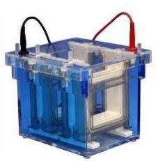 Electrophoresis Systems