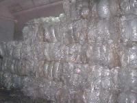 LDPE Scrap