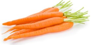 Fresh Carrot