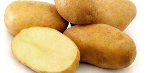 Potato